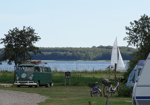 Horesenscitycamp5