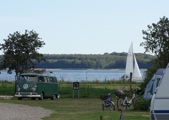 Horesenscitycamp5