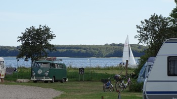 Horesenscitycamp5